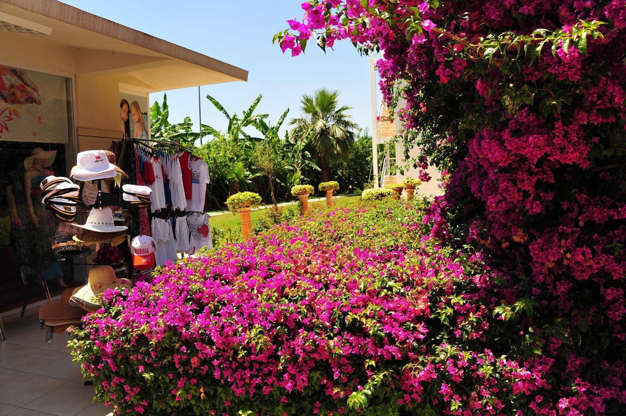 Daima Resort Hotel Kemer Exterior photo
